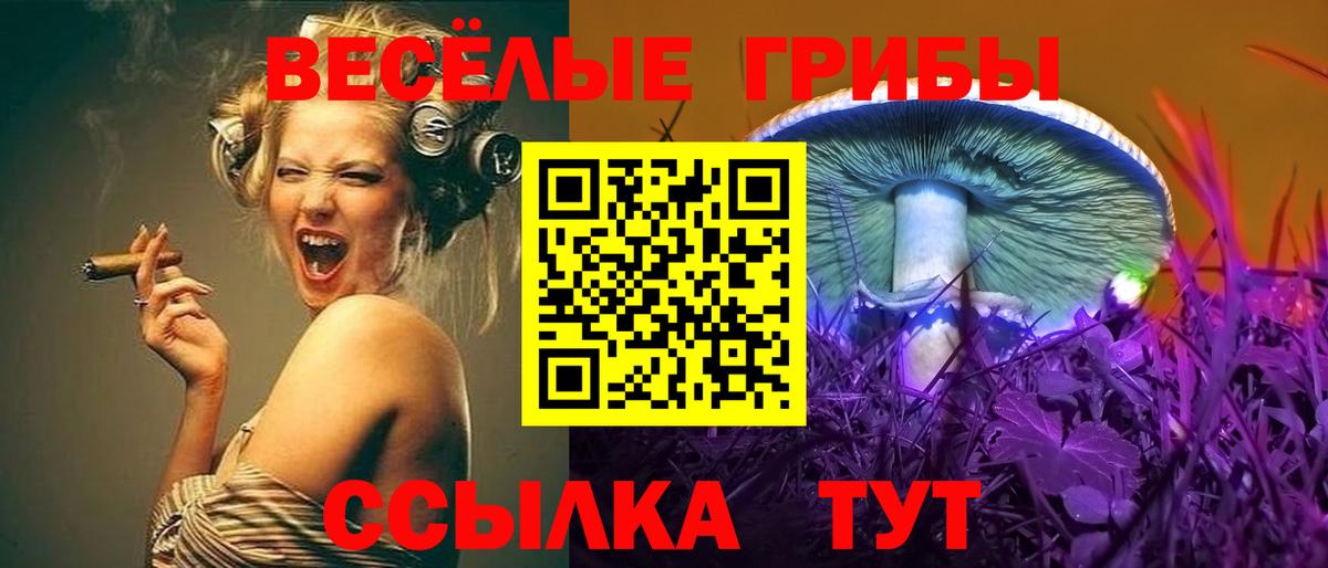 Балабаново  Галлюциногенные грибы Magic Shrooms  Вход с VPN 